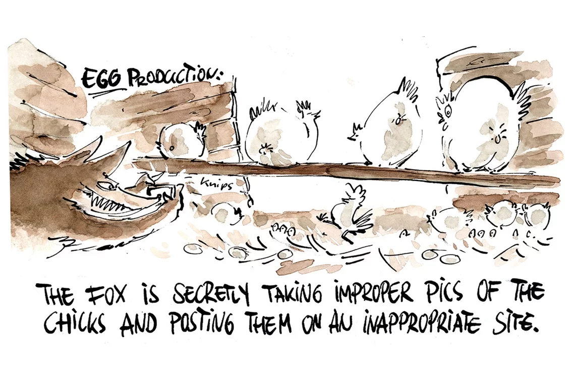 Datenschutzproblem im Hühnerstall durch neugierigen Fuchs